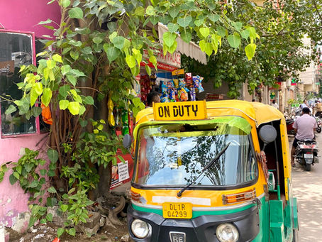 Three weeks in Rajasthan, India: Itinerary and Guide