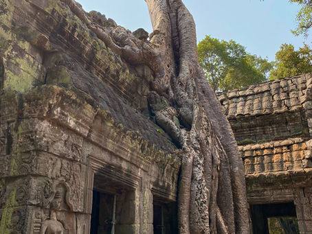 One Week Backpacking Cambodia: Siem Reap and Phnom Penh