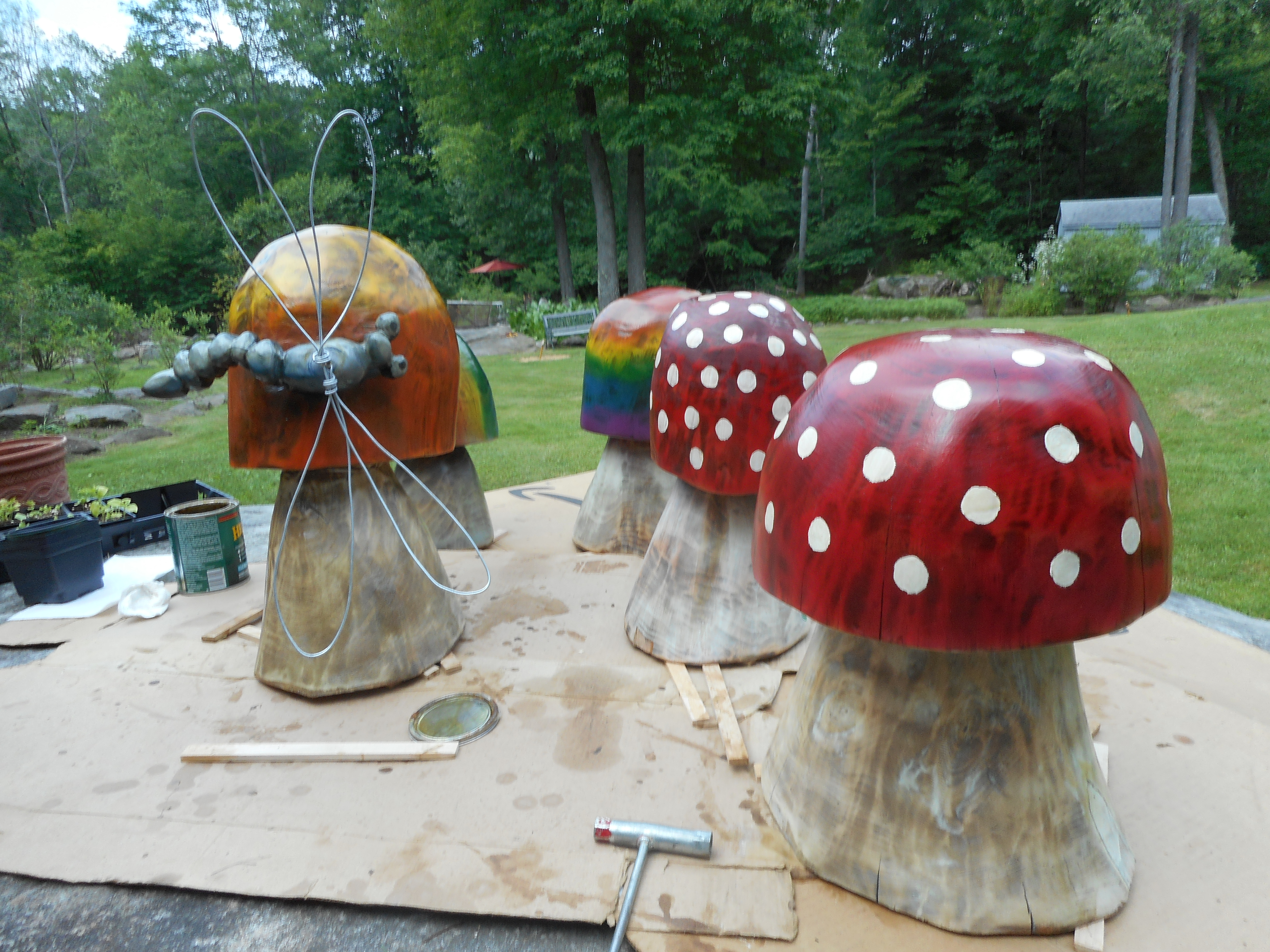 mushrooms