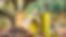 olio-1-660x365.jpg