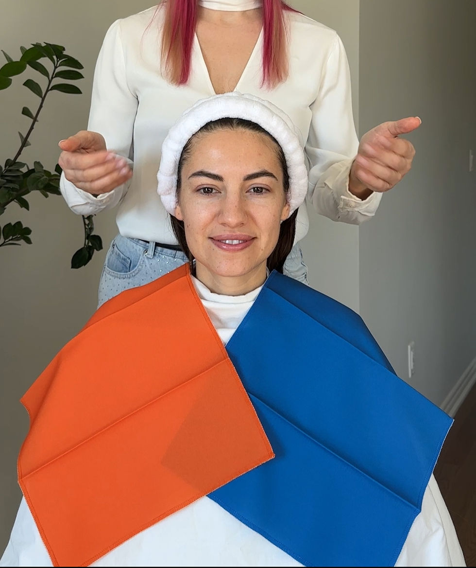 Clients/Color Analysis