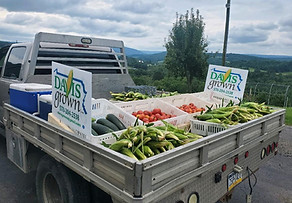 produce in truck.jpg