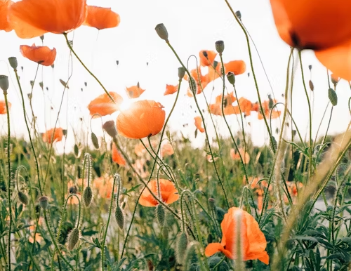 Change isn't documentation 