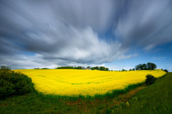 Landskapsfoto Skåne