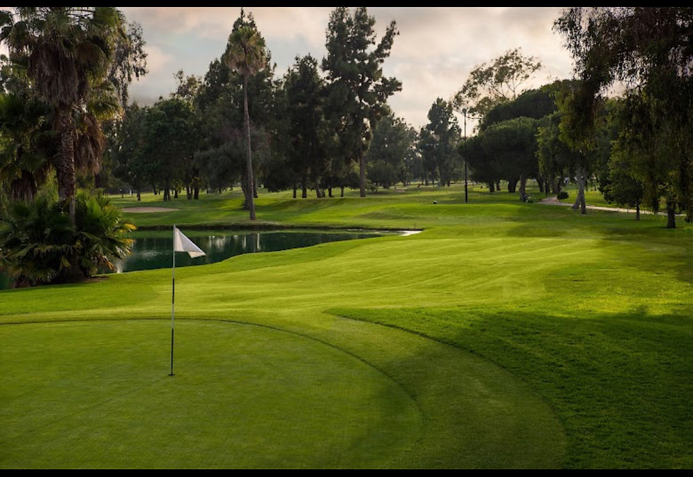 VGC-December/Xmas Fiesta Heartwell