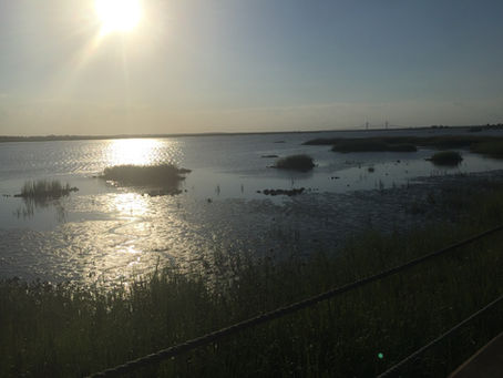 Golden Isle Beach