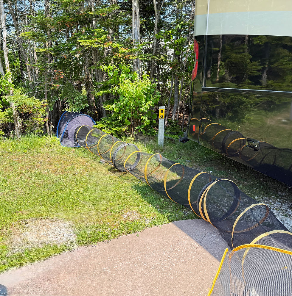 Nature oriented set up