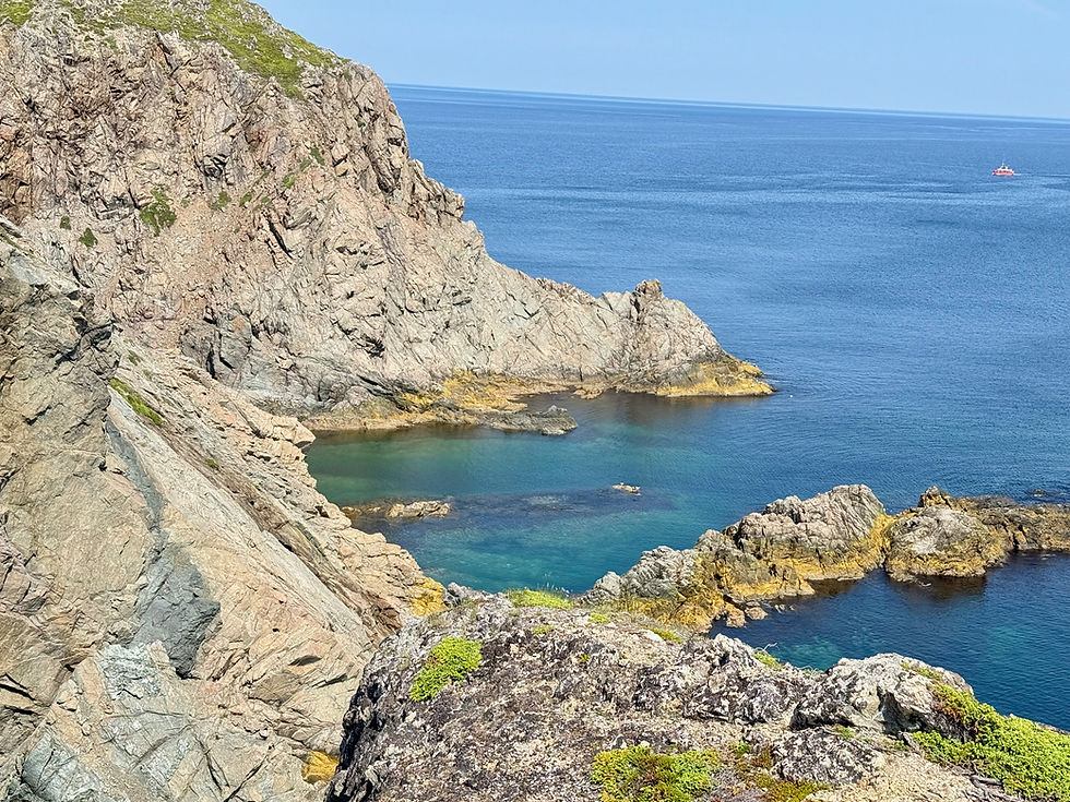 Spiller's Cove views