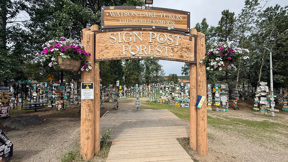 Sign Post Forrest