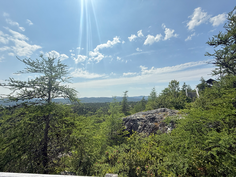 Bare Mountain