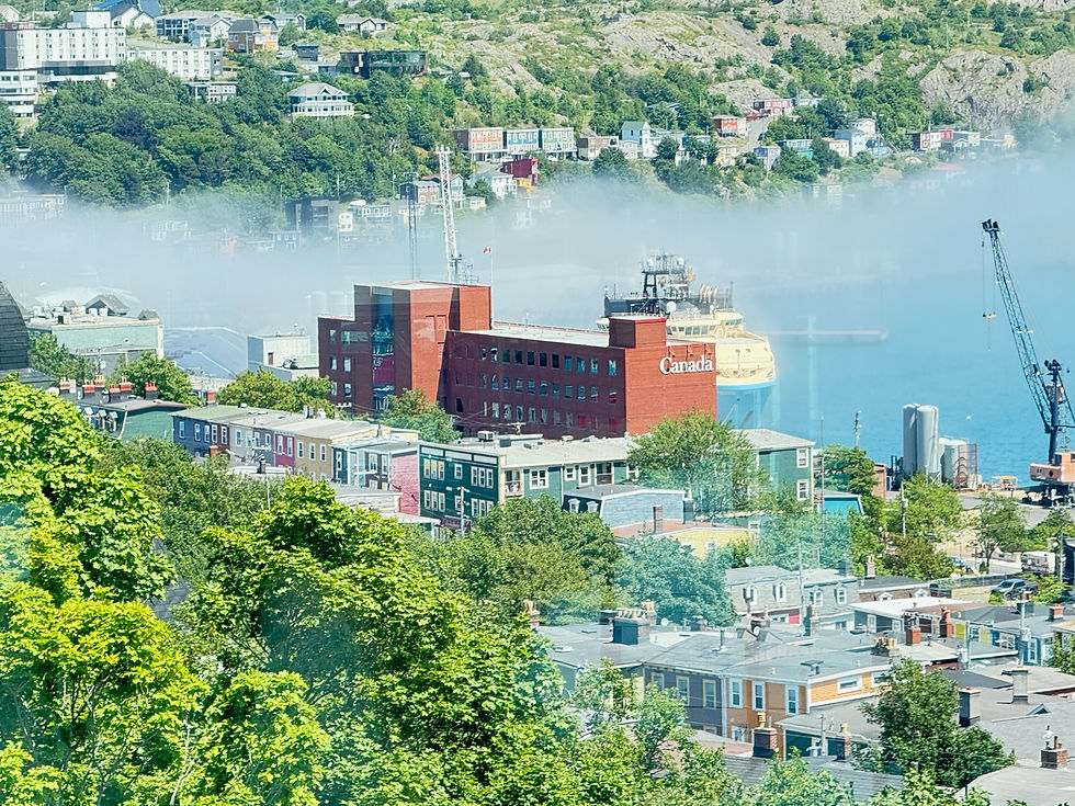 View from The Rooms Atrium. St. Johns Fog Rolling in