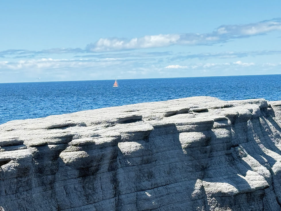 Coastal Trails and the cliffs