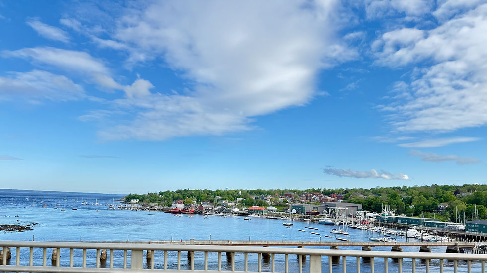 Belfast maine harbor