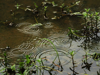 Be the drop that causes ripple .!!