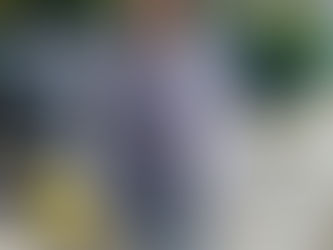 Commission Restauration - actions & comptes-rendus