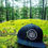 Thumbnail: Always Cold Hat
