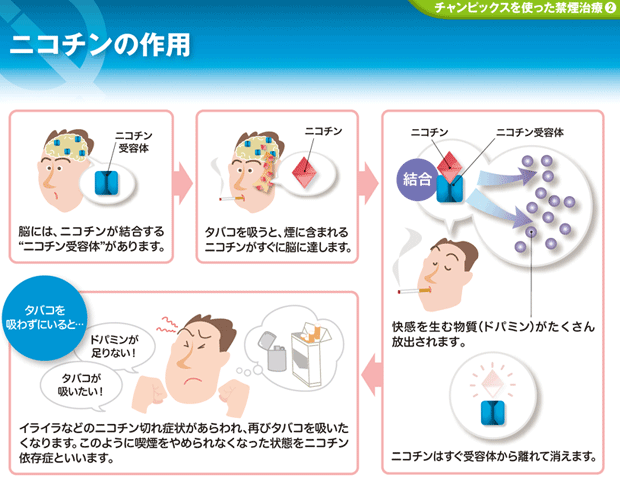 ニコチン.gif