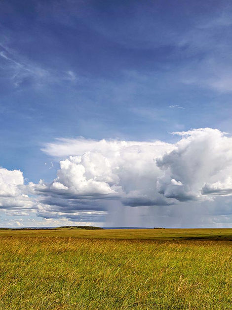 Nachmittags in der Serengeti - Kenia-(C) Peter Hennrich