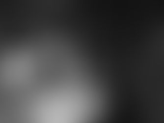 Family Vision and Purpose