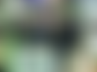 A Urbanes Parques participou da 35º edição do FESTURIS