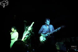 Tigress - "In this barren wasteland, in this torn up town, You're just a number and your time is up,