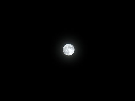 スーパーブルームーン🌕