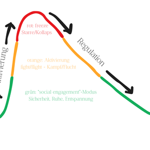 Wenn ein Modell ins Wanken gerät – und trotzdem trägt: Ein ehrlicher Blick auf die Polyvagaltheorie und traumasensible Regulation