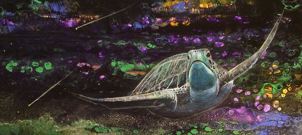 Schildkröte 16x9cm.jpg