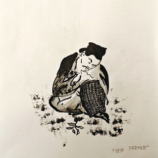 Haiku česačů čaje