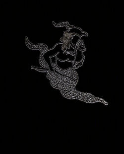 Auriga et Amalthea