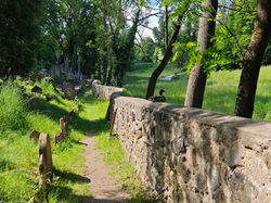 Jüdischer Friedhof (Třebíč)