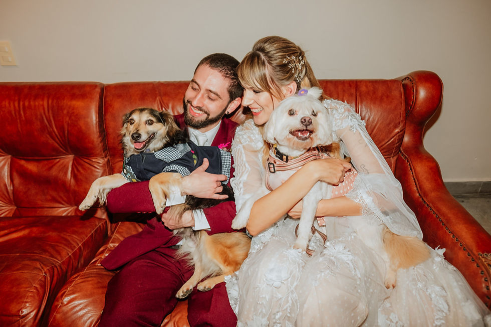 noivos com pets cachorros em festa de casamento