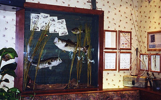 FEB SCANS005.jpg