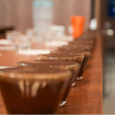 Cooxupé inicia ranking de cafés especiais colhidos na safra 2025