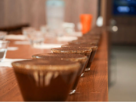 Cooxupé inicia ranking de cafés especiais colhidos na safra 2025