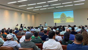 Safra de café apresenta menor rendimento em 2025 e novos desafios em 2026, aponta Fórum Técnico da Cooxupé