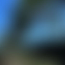 Cooxupé lidera iniciativa inédita no Brasil e viabiliza venda de créditos de carbono no café