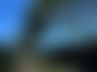 Cooxupé lidera iniciativa inédita no Brasil e viabiliza venda de créditos de carbono no café