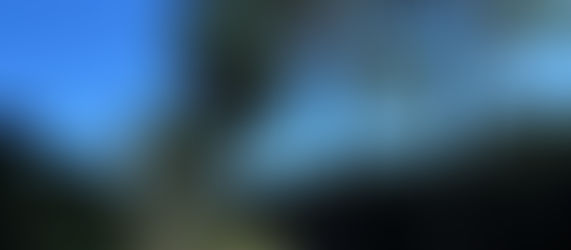 Cooxupé lidera iniciativa inédita no Brasil e viabiliza venda de créditos de carbono no café