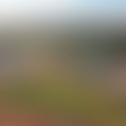 FAZENDA SÃO JOSÉ: no topo do leite brasileiro, uma meta cumprida — e um novo padrão estabelecido