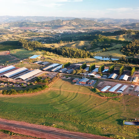 FAZENDA SÃO JOSÉ: no topo do leite brasileiro, uma meta cumprida — e um novo padrão estabelecido