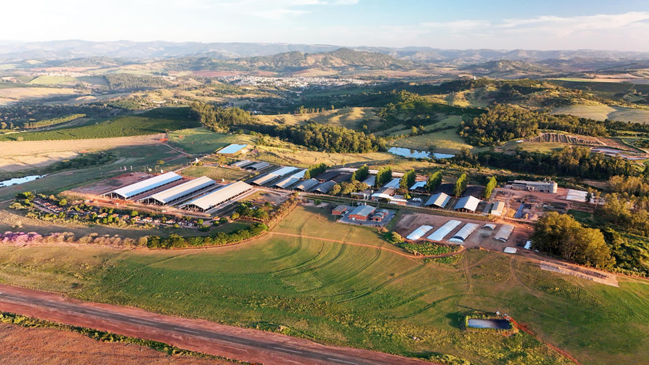 FAZENDA SÃO JOSÉ: no topo do leite brasileiro, uma meta cumprida — e um novo padrão estabelecido
