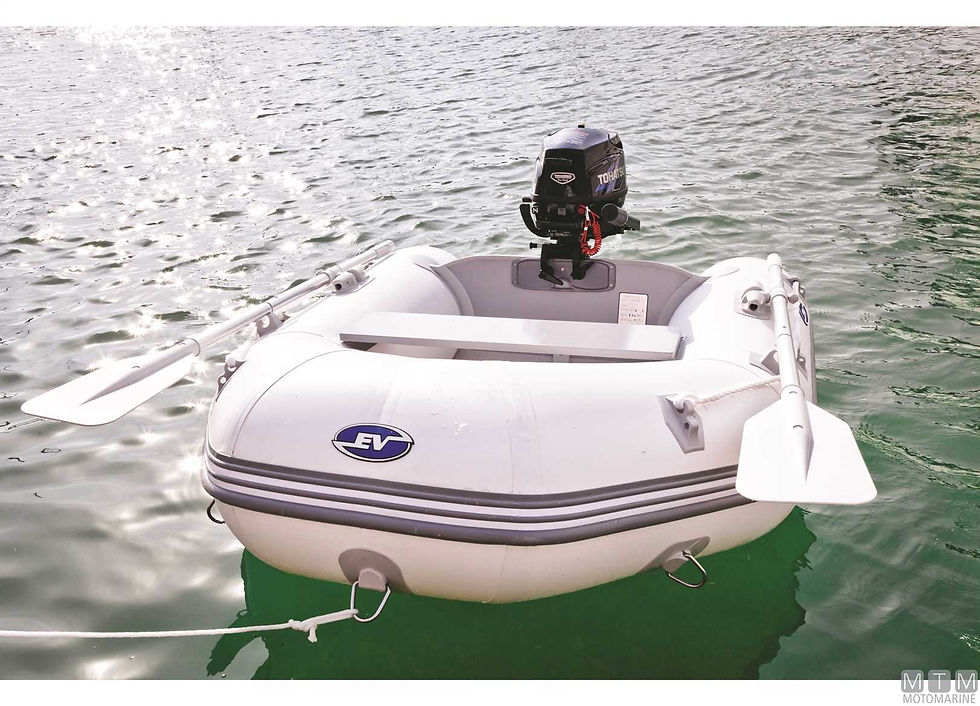 Miniatura: TENDER EV ARROTOLABILE L240CM