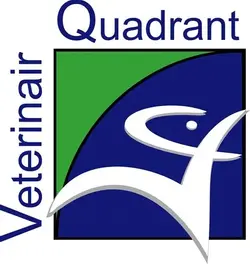Dierenkliniek Veterinair Quadrant