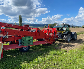 Beet Siebkettenroder