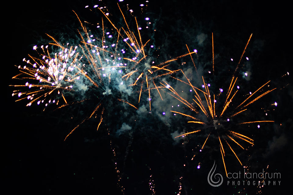 CatLandrum_4thofJuly_4