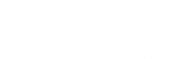 Akana-Logobweb-header.png