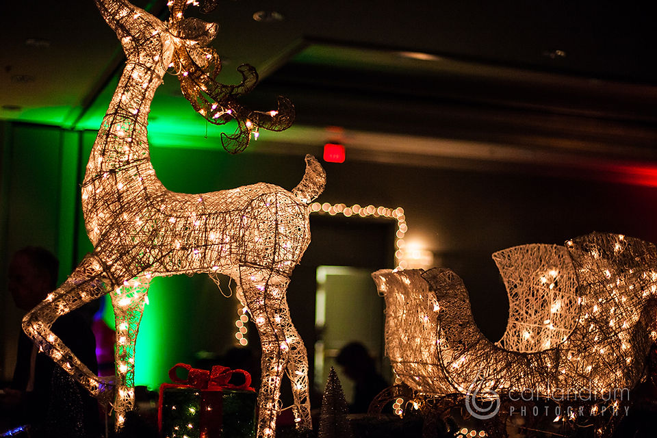 CatLandrum_ChristmasCanalStreet_1