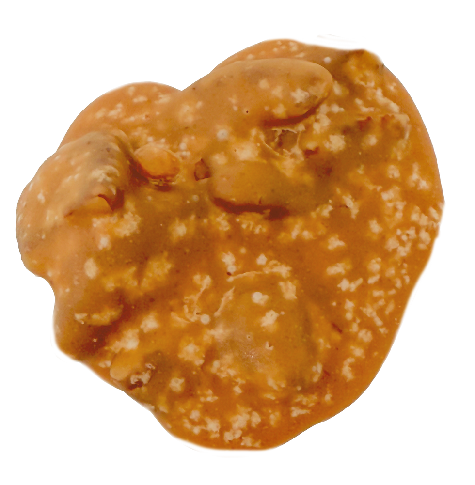 T-Praline3.png