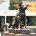 渋谷ハチ公前.jpg